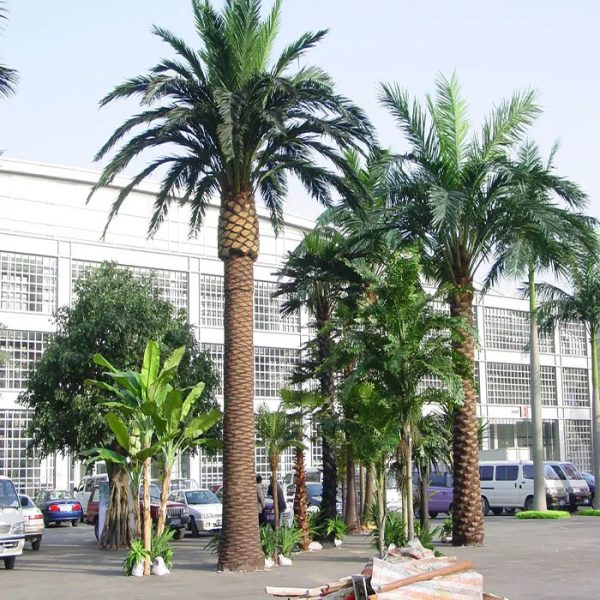 نخل مصنوعی خرما