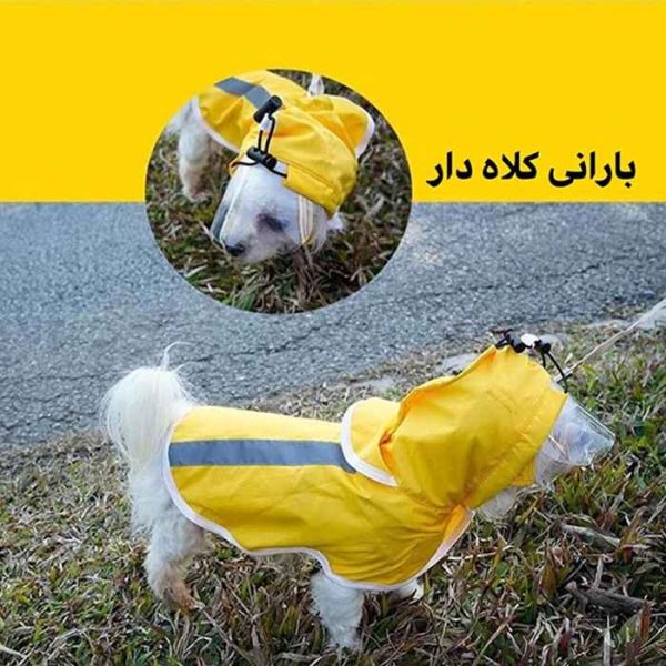 بارانی سگ